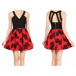 Black and Red Floral Skater Dress
